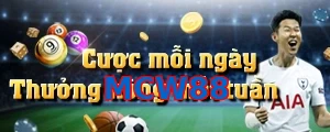 MCW88